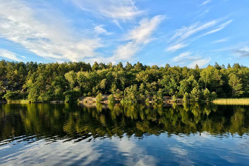 Grönskande skog och sjölandskap i Nacka med spegelblankt vatten